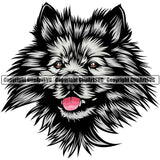 Keeshond Dog Breed Head Color ClipArt SVG