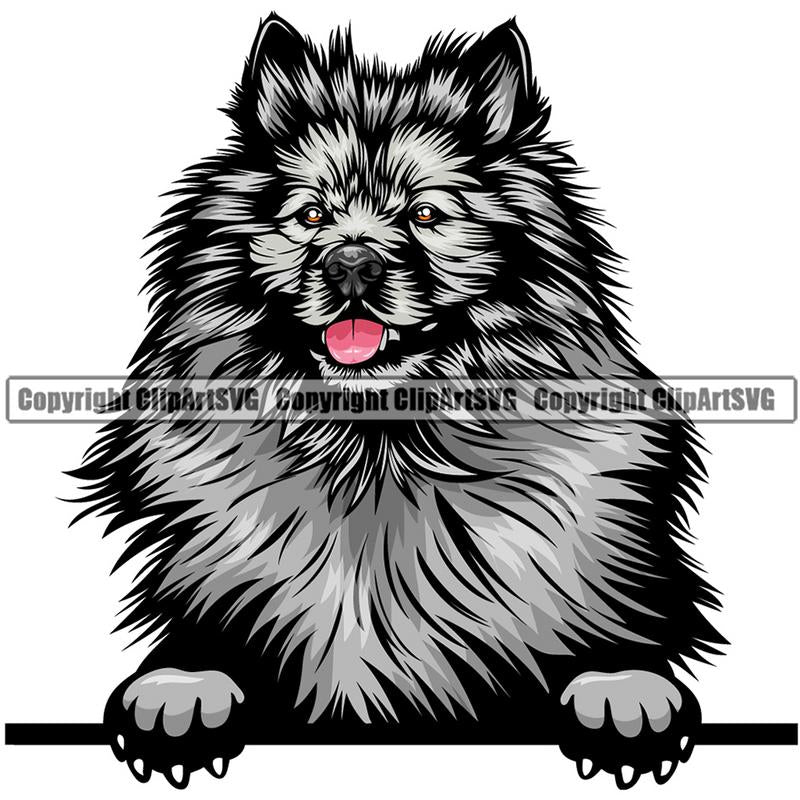 Keeshond Dog Breed Peeking Color ClipArt SVG