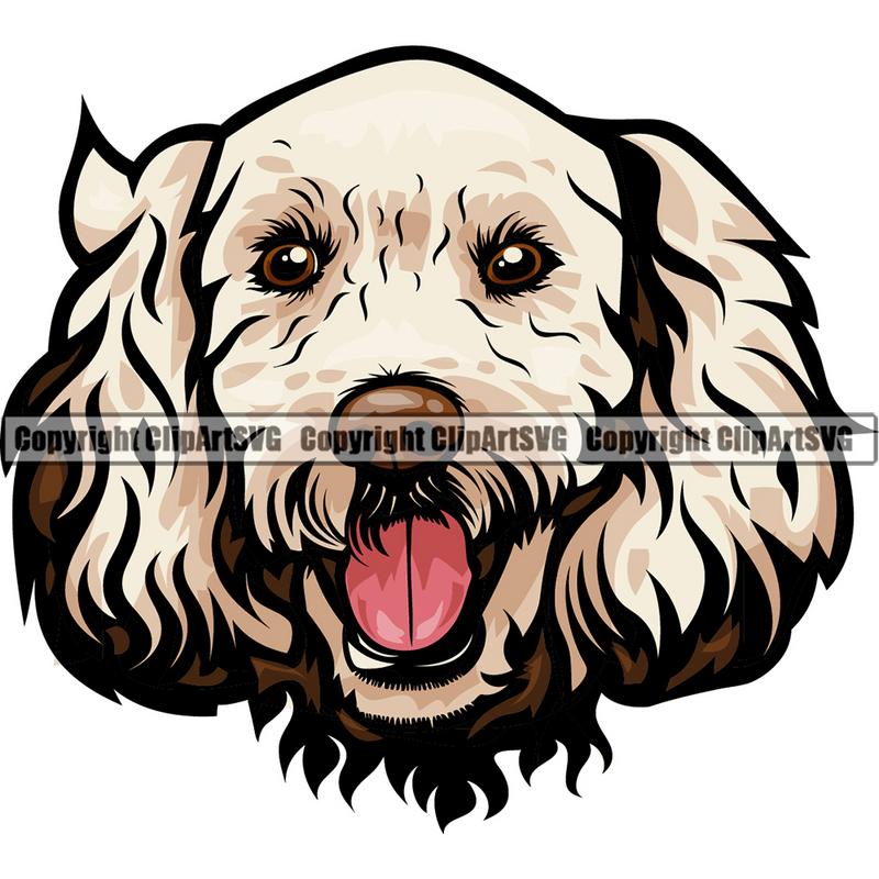 Labradoodle Dog Breed Head Color ClipArt SVG