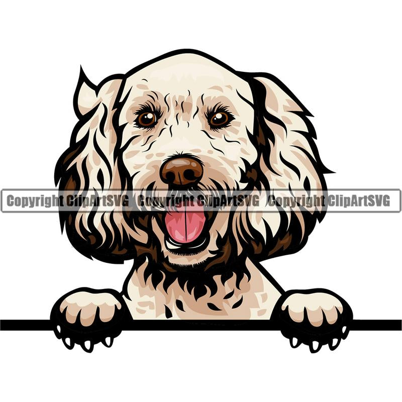 Labradoodle Dog Breed Peeking Color ClipArt SVG