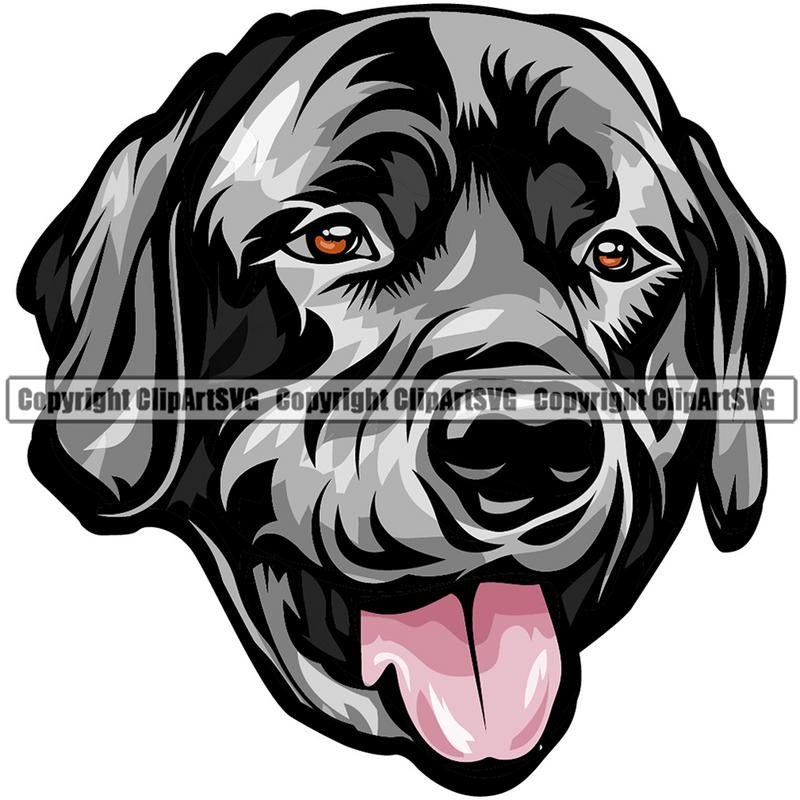 Labrador Retriever Dog Breed Head Color ClipArt SVG