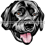 Labrador Retriever Dog Breed Head Color ClipArt SVG
