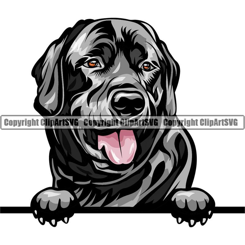Labrador Retriever Dog Breed Peeking Color ClipArt SVG