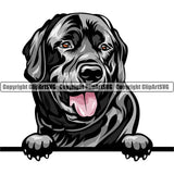 Labrador Retriever Dog Breed Peeking Color ClipArt SVG