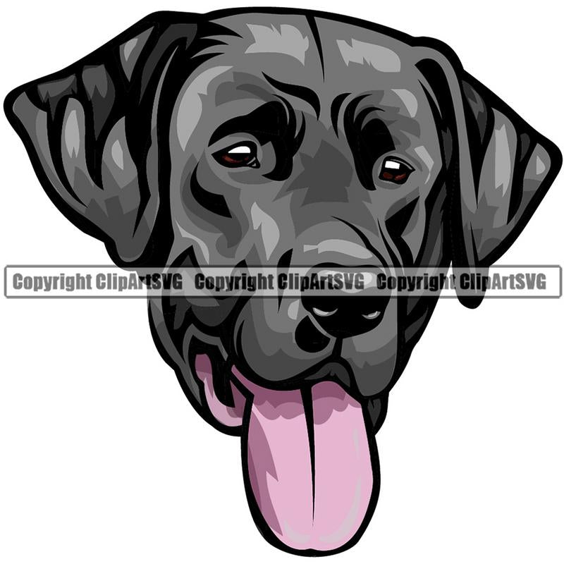 Labrador Retriever Dog Breed Head Color ClipArt SVG
