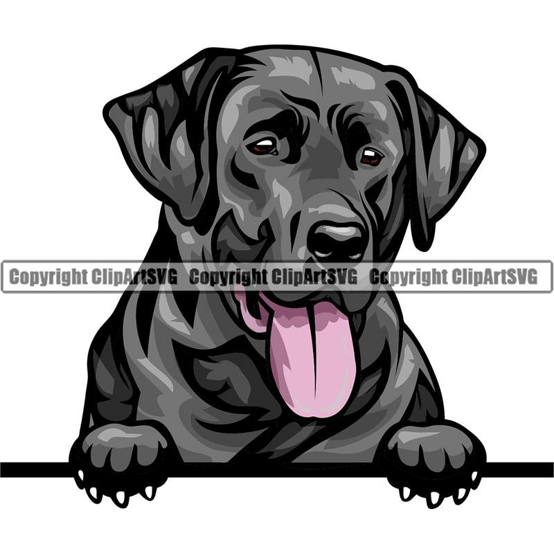 Labrador Retriever Dog Breed Peeking Color ClipArt SVG