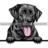 Labrador Retriever Dog Breed Peeking Color ClipArt SVG