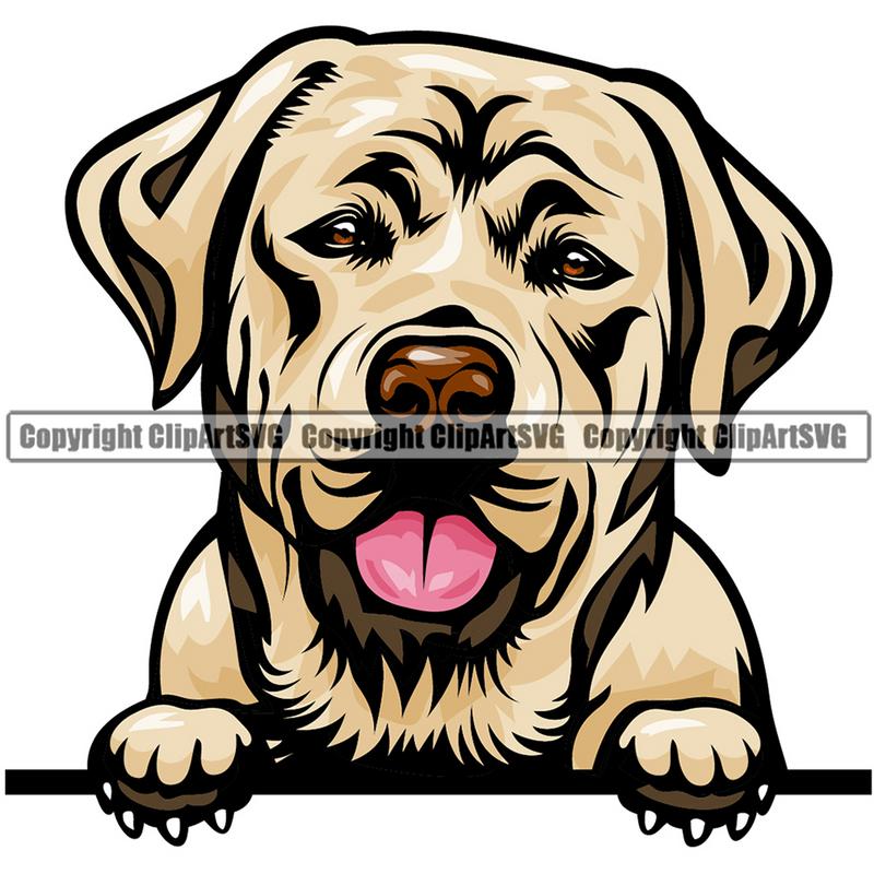 Labrador Retriever Dog Breed Peeking Color ClipArt SVG