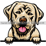 Labrador Retriever Dog Breed Peeking Color ClipArt SVG