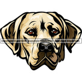 Labrador Retriever Dog Breed Head Color ClipArt SVG