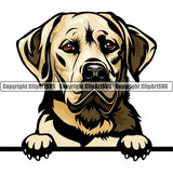 Labrador Retriever Dog Breed Peeking Color ClipArt SVG