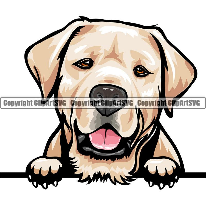 Labrador Retriever Dog Breed Peeking Color ClipArt SVG