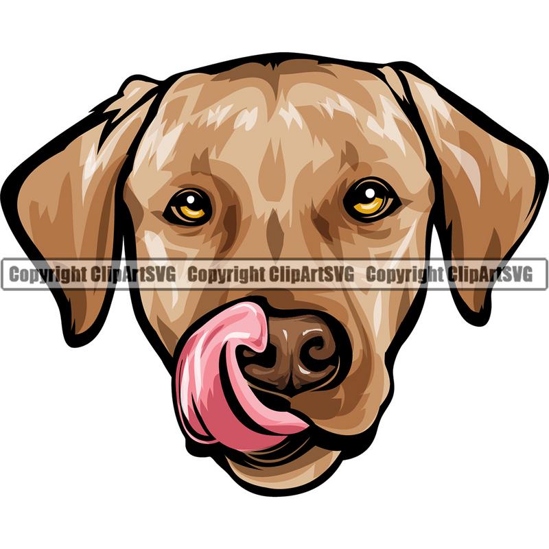 Labrador Retriever Dog Breed Head Color ClipArt SVG