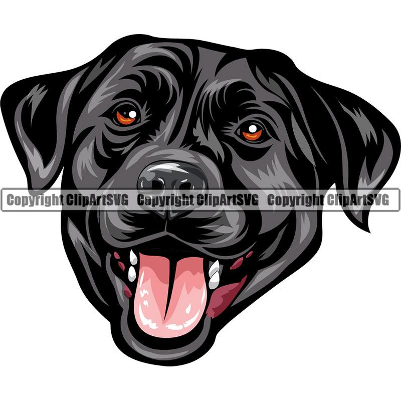 Labrador Retriever Dog Breed Head Color ClipArt SVG