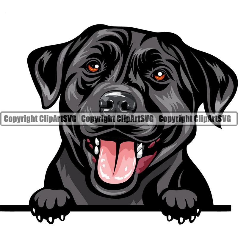 Labrador Retriever Dog Breed Peeking Color ClipArt SVG