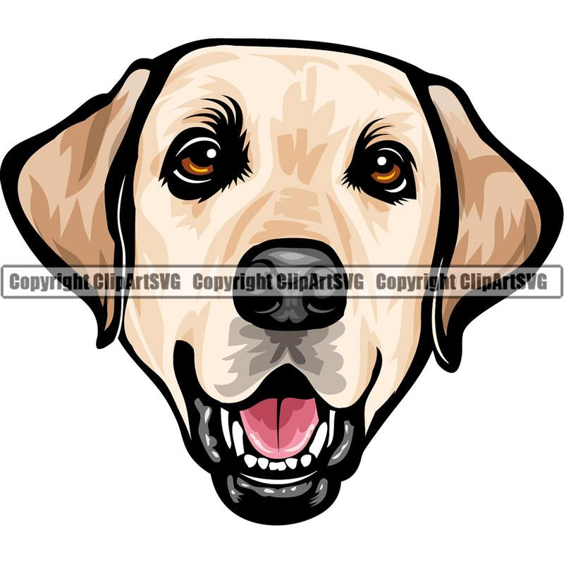 Labrador Retriever Dog Breed Head Color ClipArt SVG