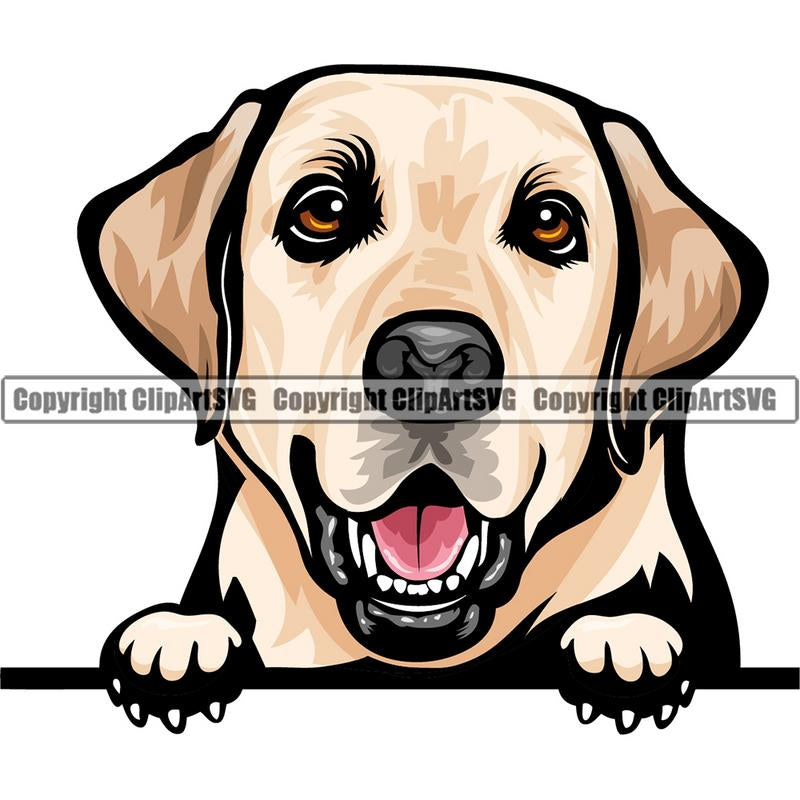 Labrador Retriever Dog Breed Peeking Color ClipArt SVG