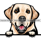 Labrador Retriever Dog Breed Peeking Color ClipArt SVG