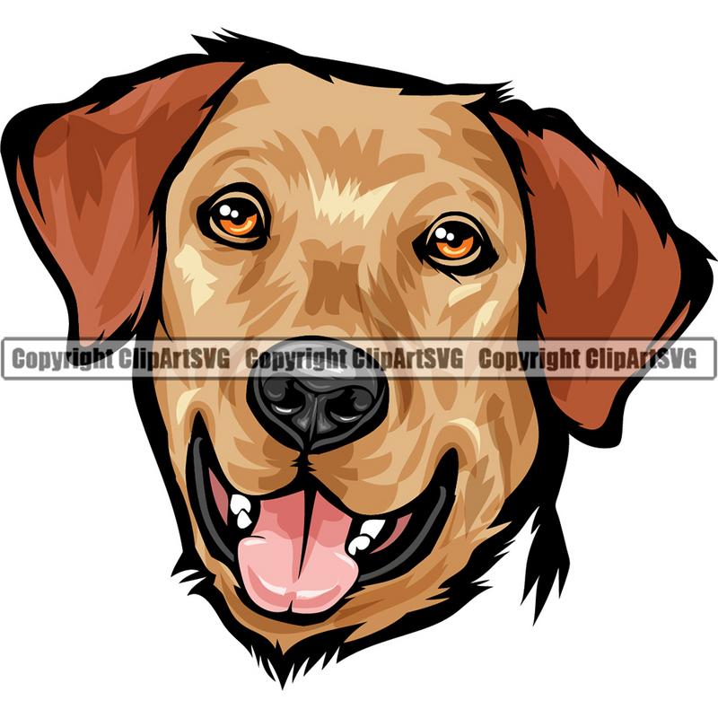 Labrador Retriever Dog Breed Head Color ClipArt SVG