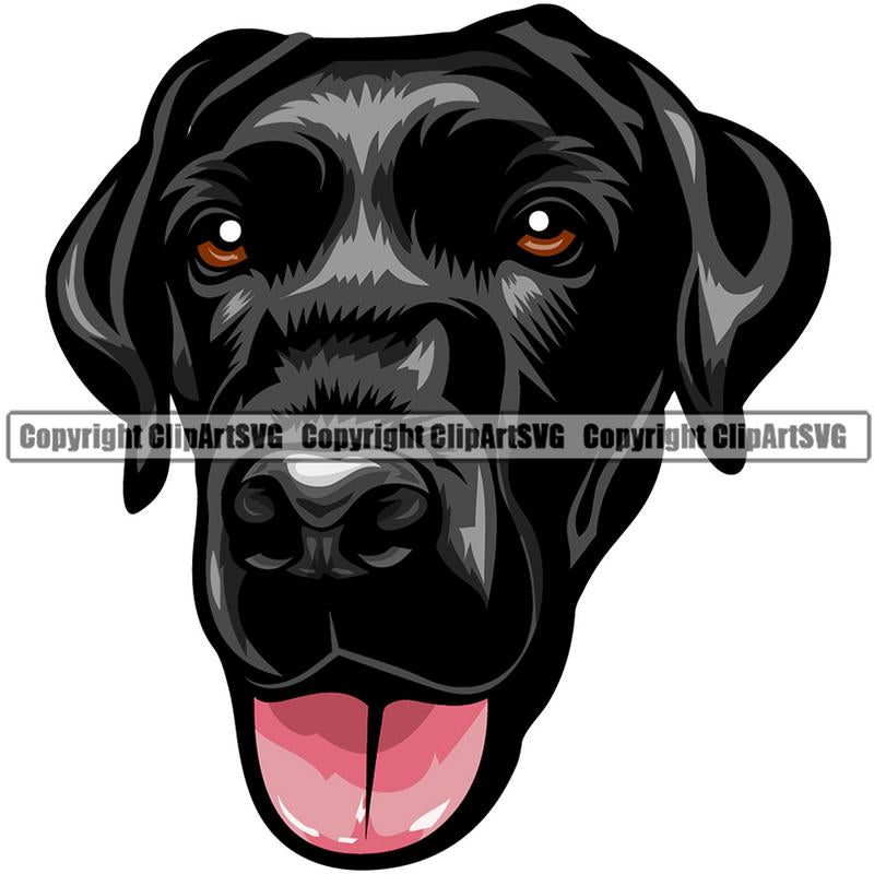 Labrador Retriever Dog Breed Head Color ClipArt SVG
