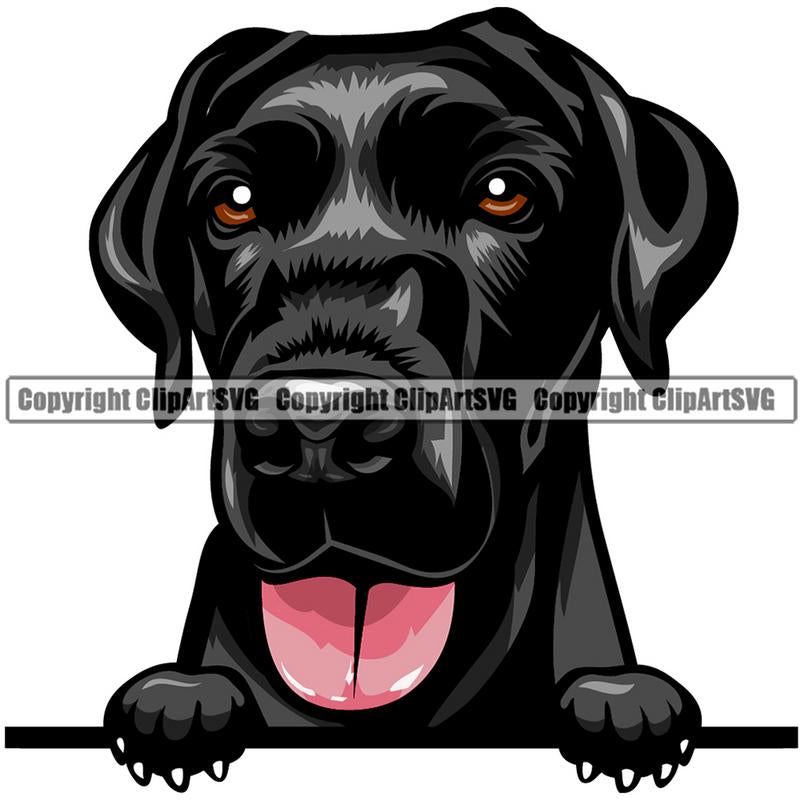 Labrador Retriever Dog Breed Peeking Color ClipArt SVG