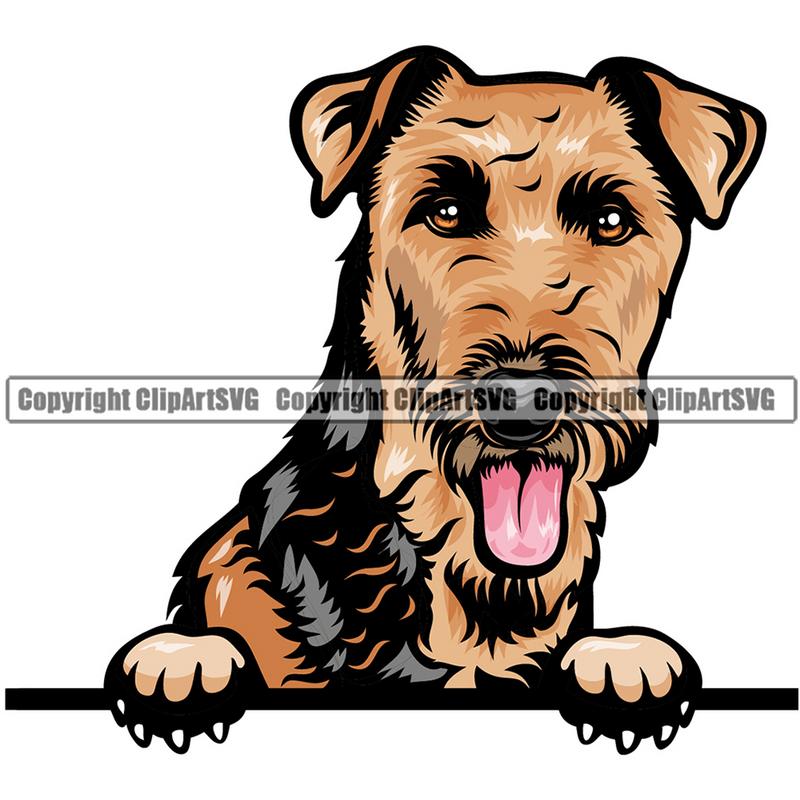 Lakeland Terrier Dog Breed Peeking Color ClipArt SVG