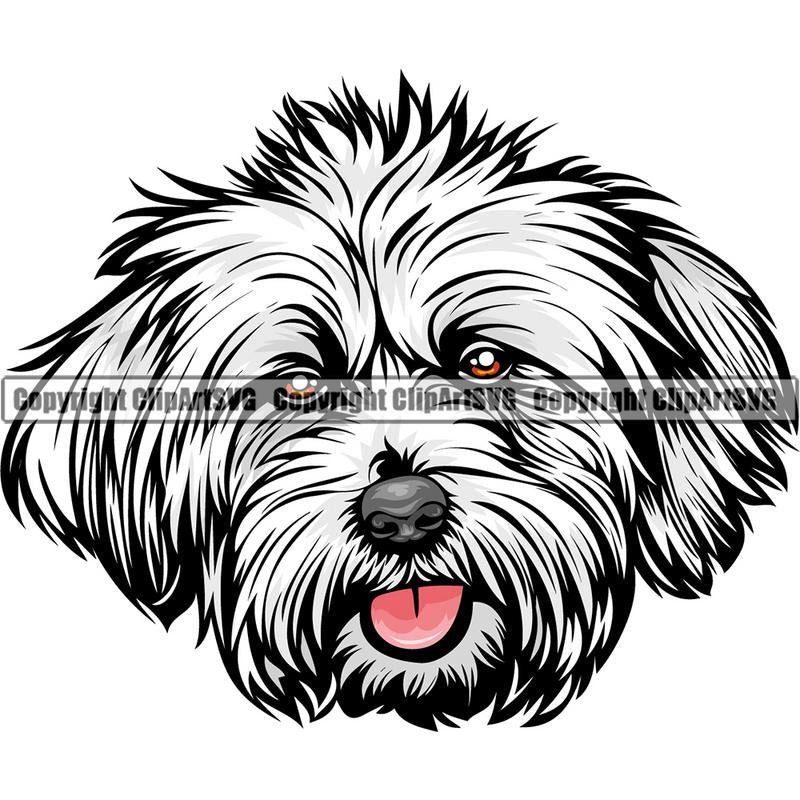 Lhasa Apso Dog Breed Head Color ClipArt SVG