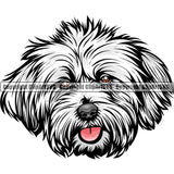 Lhasa Apso Dog Breed Head Color ClipArt SVG