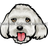 Maltese Dog Breed Head Color ClipArt SVG