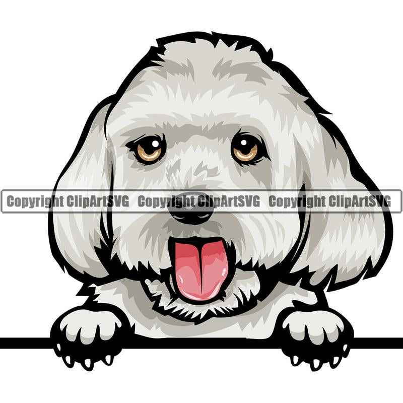 Maltese Dog Breed Peeking Color ClipArt SVG