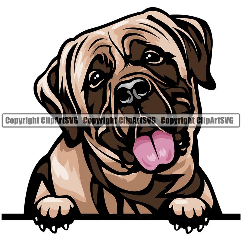 Mastiff Dog Breed Peeking Color ClipArt SVG