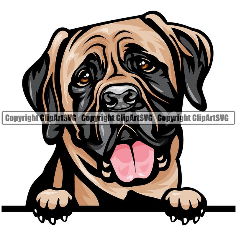 Mastiff Dog Breed Peeking Color ClipArt SVG