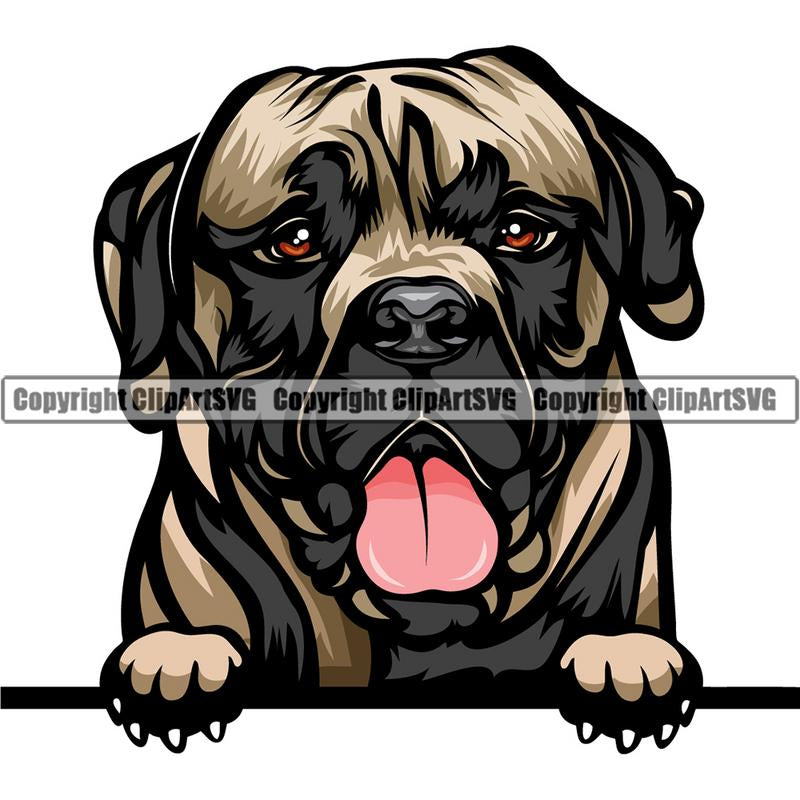 Mastiff Dog Breed Peeking Color ClipArt SVG