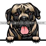 Mastiff Dog Breed Peeking Color ClipArt SVG