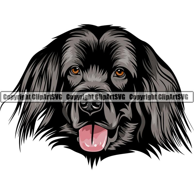 Newfoundland Dog Breed Head Color ClipArt SVG