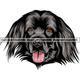 Newfoundland Dog Breed Head Color ClipArt SVG