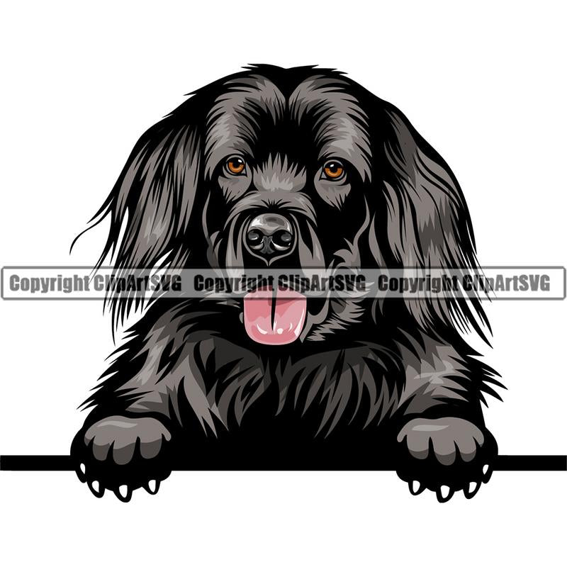 Newfoundland Dog Breed Peeking Color ClipArt SVG
