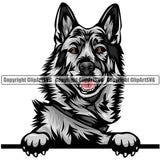 Norwegian Elkhound Dog Breed Peeking Color ClipArt SVG