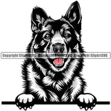 Norwegian Elkhound Dog Breed Peeking Color ClipArt SVG