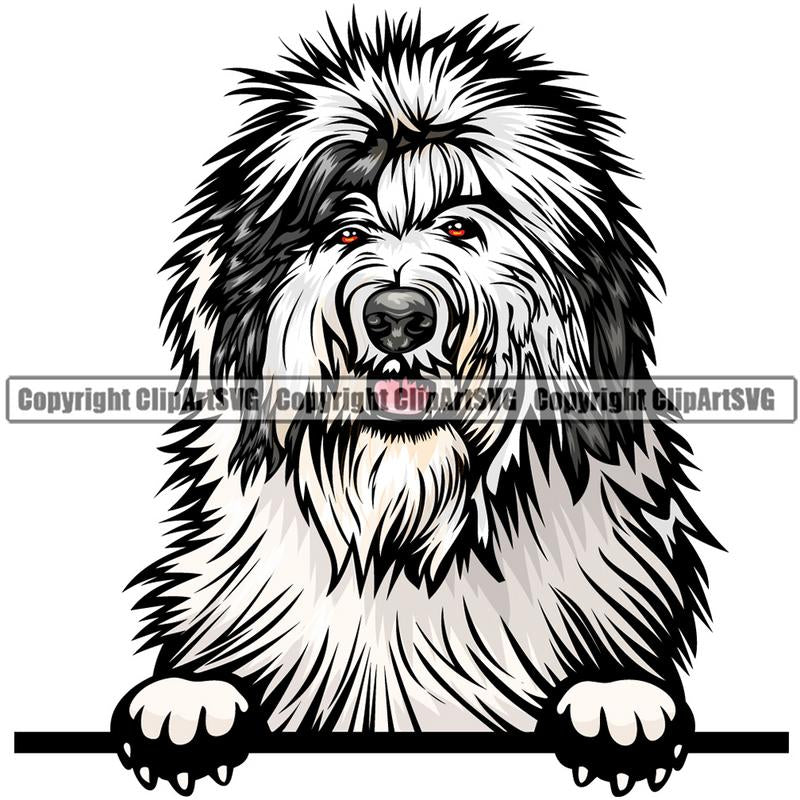 Old English Sheepdog Dog Breed Peeking Color ClipArt SVG