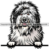 Old English Sheepdog Dog Breed Peeking Color ClipArt SVG
