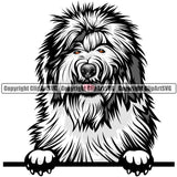 Old English Sheepdog Dog Breed Peeking Color ClipArt SVG