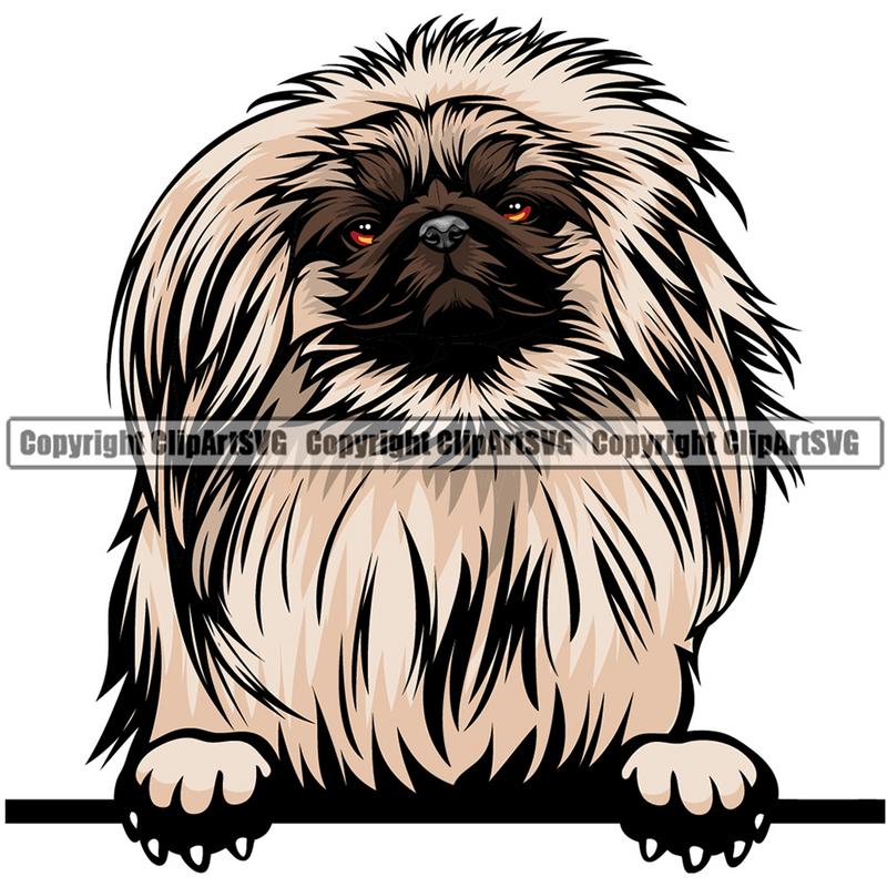 Pekingese Dog Breed Peeking Color ClipArt SVG