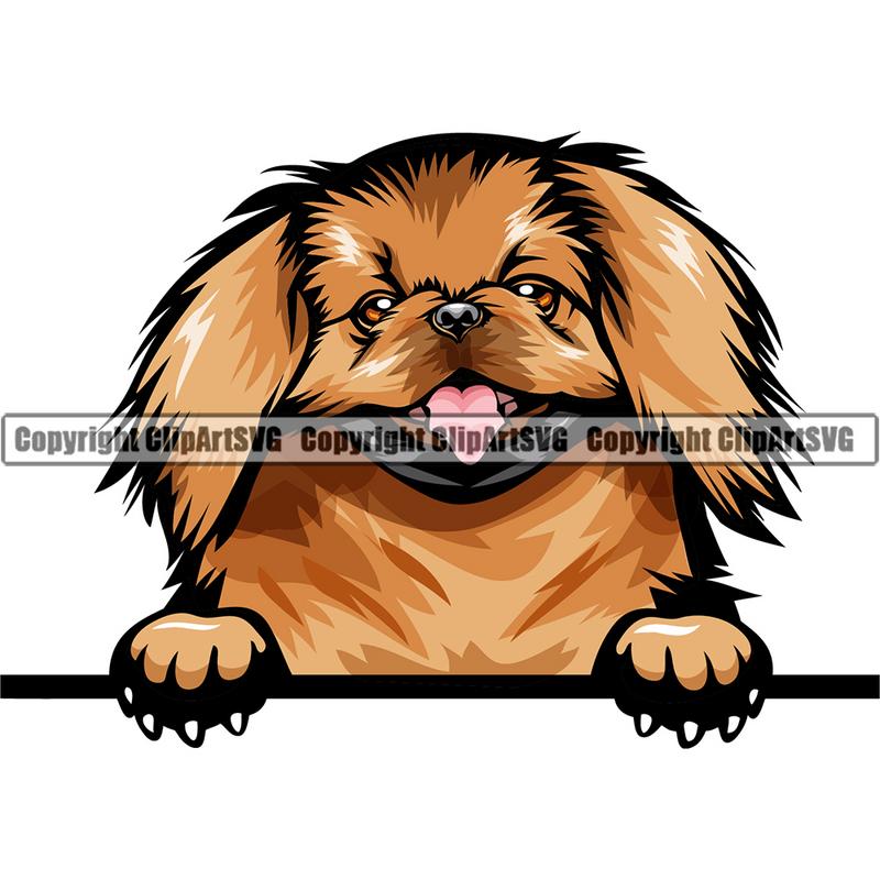 Pekingese Dog Breed Peeking Color ClipArt SVG