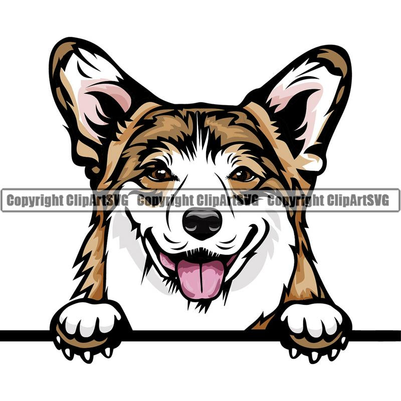 Pembroke Corgi Dog Breed Peeking Color ClipArt SVG