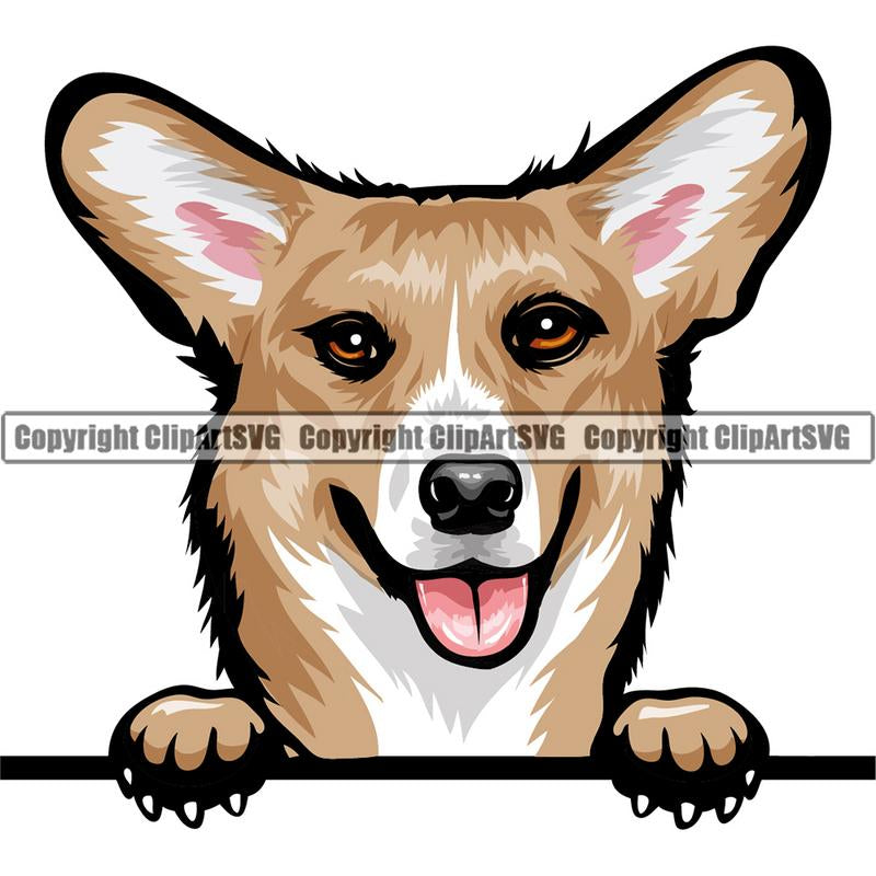 Pembroke Welsh Corgi Dog Breed Peeking Color ClipArt SVG