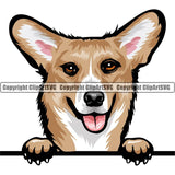 Pembroke Welsh Corgi Dog Breed Peeking Color ClipArt SVG