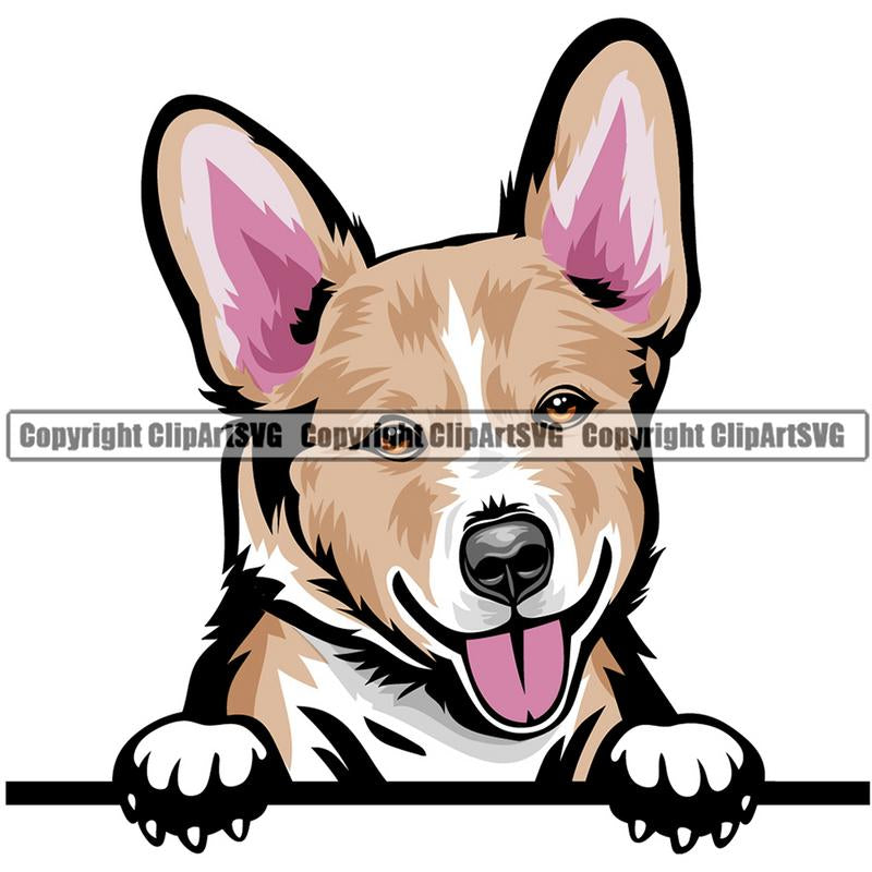 Pembroke Welsh Corgi Dog Breed Peeking Color ClipArt SVG