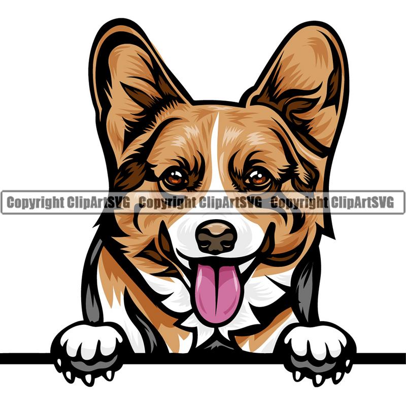 Pembroke Welsh Corgi Dog Breed Peeking Color ClipArt SVG