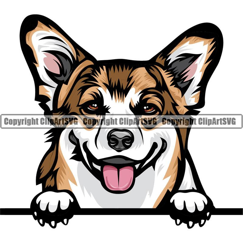 Pembroke Welsh Corgi Dog Breed Peeking Color ClipArt SVG